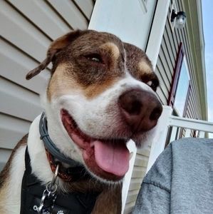 Meet your Posher, Christine